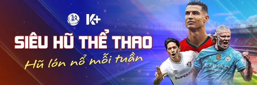 Hỗ trợ đa ngôn ngữ (Tiếng Việt)